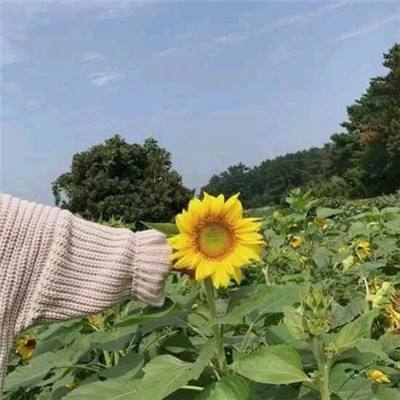 百度战魂西游游戏下载