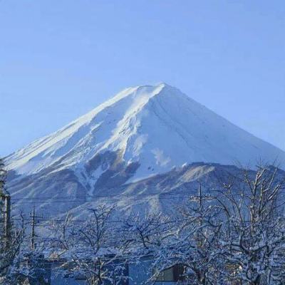 风驰幽林手游bt版下载
