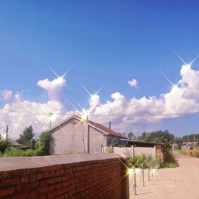 御仙战纪手游下载